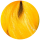 Oranžs 
