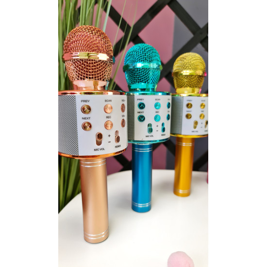 Mikrofons Karaoke ar iebūvētu skaļruni WS-858