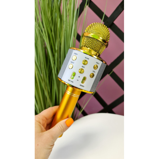 Mikrofons Karaoke ar iebūvētu skaļruni WS-858