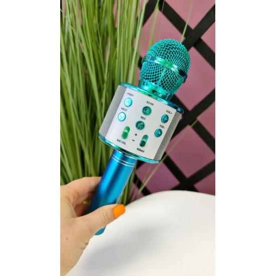 Mikrofons Karaoke ar iebūvētu skaļruni WS-858