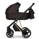 Roan IVI ratiņi 2 in 1 Choco Roan IVI ratiņi 2 in 1 Choco