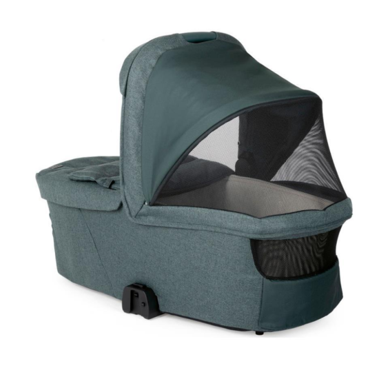 Chicco Flexi Carrycot kulbiņa (Fir tree)